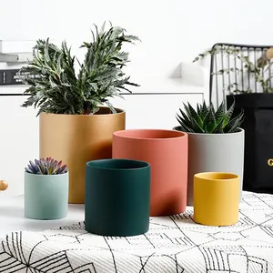 Macetas de cerámica de estilo nórdico personalizables, cactus suculento único colorido, decoración interior