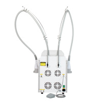 Appareil de remodelage corporel par micro-ondes Freezewave 2,45 GHz pour la réduction de la graisse et l'élimination de la cellulite