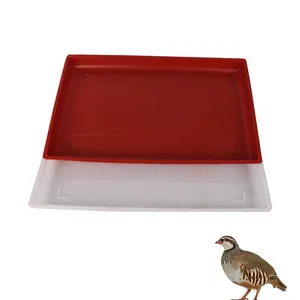 Poultry farm pp plastic broiler pan feeder baby chicken feeder trays