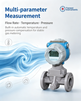 Vortex Flowmeter Supplier for Gas Liquid with OEM and Fast Delivery