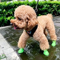 Nouvelles Bottes pour Chien Imperméables et Anti-Salissures de Couleur Bonbon, Réglables, pour la Marche et la Course en Plein Air, ODM&OEM ODM&OEM