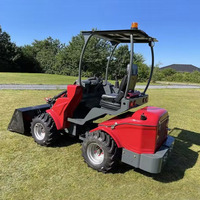 Chinois 0.8 tonnes 1 tonne charge utile petite ferme mini chargeuse sur pneus télescopique DY840