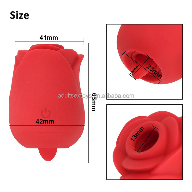 Double Sided Rose Vibrator for Women - 10 Vibration Modes, USB  Rechargeable, 100% Waterproof Sex Toy for Clitoral Pleasure