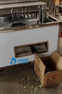 Machine professionnelle à dénoyauter les cerises, dénoyauteuse automatique d'abricots et <span class=keywords><strong>de</strong></span> cerises - Product Image 5