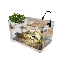 Aquarium carré à filtration latérale avec design éco-paysager et circulation d'eau, pas besoin de changements fréquents d'eau