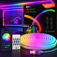 Ruban LED néon RGBIC professionnel, étanche IP67, en PVC co-extrudé, anti-jaunissement, 7x14mm, 5m, 5V DC, synchronisation musicale, contrôle par application, dimmable