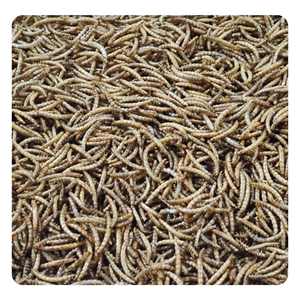 Kirlilik içermeyen yüksek kaliteli <span class=keywords><strong>Pet</strong></span> gıda mikrodalga kurutulmuş siyah sinek sinekler larva kuru gıda-kuşlar için sarı Mealworms - Product Image 4