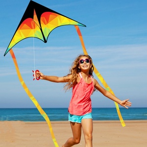Wholesale Customized New <strong>Design</strong> Easy Fly Delta <strong>Kites</strong> Easy Assembly Decoration Toy Prairie <strong>Kites</strong> - Product Image 2