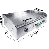 Grille de cuisson électrique professionnelle en acier inoxydable pour hôtels et restaurants – Plaque de cuisson plate pour barbecue – Équipement de restauration très demandé