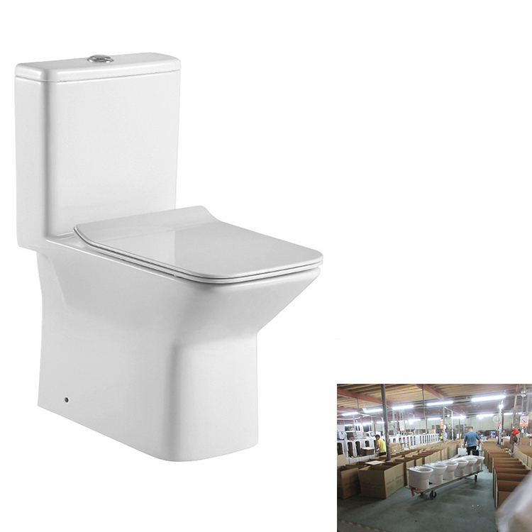 Deux Pièces Laver Monobloc Placard Wc En Céramique