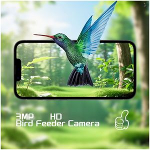 Outdoor Automatische Vogel Feeder Camera Met Lading Intelligente Monitoring Bird Watcher Opknoping Feeder Voor Kolibries - Product Image 2