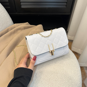 Bolso de cadena acolchado, nuevo estilo de verano 2026, bolso cuadrado pequeño, textura de costuras sencillas, bolso de hombro, bolso de mujer estilo INS. - Product Image 1