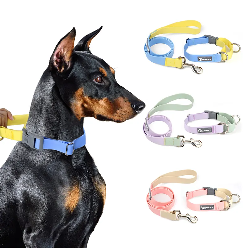 Support personnalisé OEM usine pour chien harnais collier laisses gilet ensemble PVC étanche collier laisse Durable luxe fournitures pour animaux de compagnie