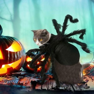 Kostum Laba-laba Halloween 100CM untuk Anjing Kucing Kostum Hewan Peliharaan Halloween Dekorasi Halloween Dekorasi Laba-laba Perlengkapan Pesta Halloween - Product Image 5