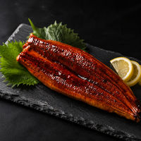 Unagi Kabayaki Gegrilde Palingfilet voor Sushi en Japanse Keuken, Diepvries Geroosterde Paling, Groothandel, Bulk Leverancier, BRC HALAL HACCP