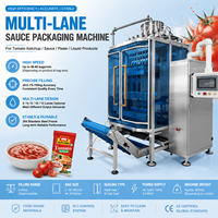 Máquina Automática de Envasado de Líquidos en Bolsas de 3g, 8g y 10g para Ketchup, Pasta de Tomate y Otros Productos