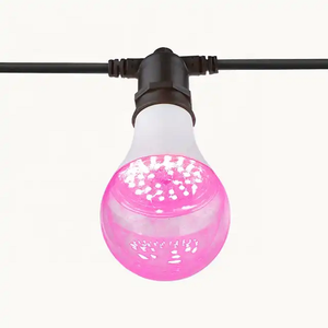 Bombilla LED de Cultivo de Espectro Completo de 12W 15W IP65 Impermeable con Soportes E27 y Cables para Floración de Frutas como el <span class=keywords><strong>Pitahaya</strong></span> en Granjas, Venta al por Mayor - Product Image 1