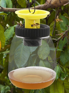 Trampa para moscas de frutas ecológica, la <span class=keywords><strong>mejor</strong></span> oferta, cubo reutilizable para huerto, trampas para moscas, trampa para insectos y frutas, botella - Product Image 2