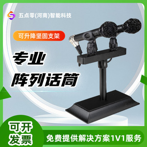 Dual Channel <b>Condenser</b> <b>Microphone</b> 48V Powered Professional Conference Broadcasting Education Lecture Use - Product Image 2