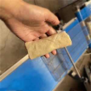 Machine automatique de fabrication de rouleaux de printemps avec moteur servo et pas à pas, haute capacité pour la production de lumpia et de rouleaux aux œufs - Product Image 1