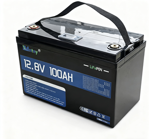 Paket Baterai Surya Isi Ulang 48V 24V Deep Cycle BMS LiFePO4 12V 12.8V 200Ah 300Ah 314Ah - Product Image 6