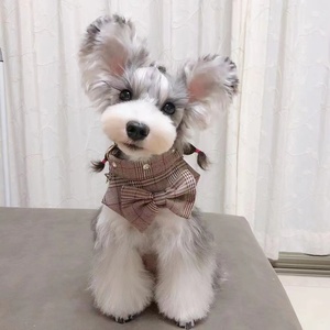 Beliebtes Gehset mit Karomuster-Weste und Leine für Ganzjahres-Outdoor-Nutzung Kleines Hunde- und Katzen-Geschirrset - Product Image 2