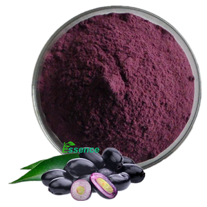 Syzygium Cuminiフルーツパルプパウダー,天然ブラックジャムン果実エキスパウダー - Product Image 1