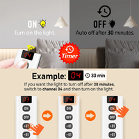 Interrupteur Minuterie Sans Fil 433 MHz avec Télécommande, 110V 220V 10A, Portée 50m, Compte à Rebours 10 Vitesses pour Système Domotique