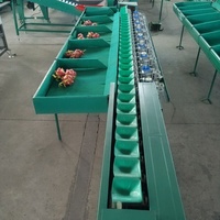 Hete Verkopende Automatische Kokosnoot Passievrucht Mango Dragon Fruit Meloen Fruit Gewicht Sorteermachine Auto Gewicht Sorteermachine