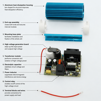 KW Dual-Luftgekühlter Einstellbarer Quarz-Ozongenerator-Kit 10G/15G/20G/30G/H Ozonmodul-Serie zur Wasseraufbereitung und Sterilisation