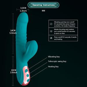 10 frekans 2 in 1 klitoral stimülasyon sokmak yapay penis vibratör kadınlar vajinal G spot masaj yetişkin seks oyuncakları - Product Image 4