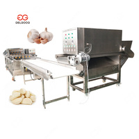 Dissolvant électrique automatique de peau d'ail et machine d'épluchage d'ail d'extraction 1000 kilogrammes par heure