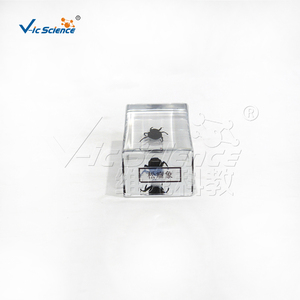 Especímen transparente de gusano del pino en plástico, muestra real de coleóptero plagasario para la enseñanza de biología CE/ISO/ROHS/CNAS - Product Image 4