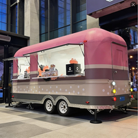 Four à Kebab et Pizza Mobile Multifonctionnel Personnalisable pour Food Truck et Stand de Shawarma (ODM)