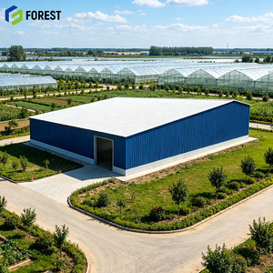 Estructura de Acero Modular Resistente a la Corrosión, Almacén Logístico Prefabricado, Instalación Comercial de Servicio Pesado - Product Image 1