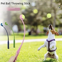 Jouet interactif écologique en plastique pour animaux de compagnie, en PP, avec balle de tennis en caoutchouc intégrée pour le jeu quotidien et l'exercice des molaires, emballé dans un sac