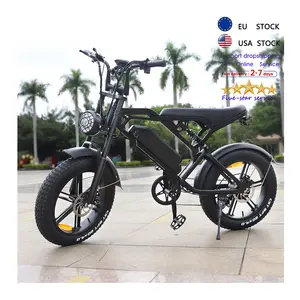 Fatbike V20 Mountain E-bike Eu Warehouse Offroad Electric Motorcycle Hybrid Ebike Electric Dirt Bike