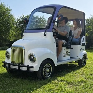 Holladay Cool Fashion <span class=keywords><strong>Scooter</strong></span> Elettrico a 4 Ruote per il Tempo Libero, Mini Quadriciclo Elettrico per Passeggeri, Quadriciclo Elettrico per il Turismo - Product Image 4