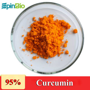 Herbinbio — extrait de tumerique, 50g, poudre de mercure pure et 95% - Product Image 3