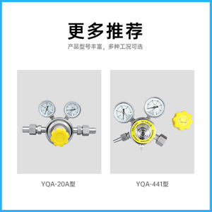 Xsenr Stainless Steel Ammonia <b>Pressure</b> Regulator Yqa 401 Type Gas Regulator For Industrial Use - Product Image 2
