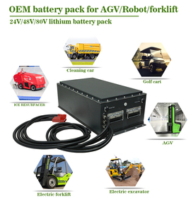 CTS Grade A <b>24V</b> 48V 100Ah 600Ah LiFePO4 AGV <b>Battery</b> Pack 6000 Cycles Industrial Robot Lithium Ion <b>Battery</b> Wholesale - Product Image 4