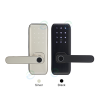 Serrure de porte intelligente TTLock, lecteur d'empreintes digitales biométriques, lecteur de cartes RFID, déverrouillage à distance sans clé, électrique, WiFi, via l'application Tuya, poignée intelligente
