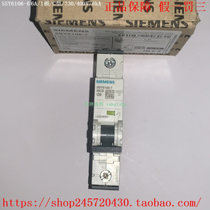 เบรกเกอร์ขนาดเล็กซีเมนส์ รุ่น 5SY6110-7 แบบ 1 ขั้ว 230V แบบ B สำหรับติดตั้งบนราง พร้อมอุปกรณ์ป้องกัน - Product Image 1