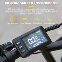 Bicicleta Eléctrica Hidoes E Bike Híbrida de Alto Rendimiento Hidoes C8 48v 700W Motor Potencia 17ah Batería de Litio Cuadro con Neumáticos Antipinchazos