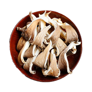 เห็ดนางรมแห้ง Pleurotus eryngii ทั้งเชื้อรากินได้อาหารที่ปลูกสดใหม่ - Product Image 1