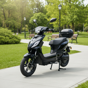 <span class=keywords><strong>Scooter</strong></span> électrique 48V 1000W 16 pouces, <span class=keywords><strong>homologué</strong></span> EEC COC, directement de l'usine OEM ODM, pour les distributeurs - Product Image 4