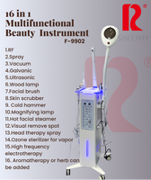 Vente chaude 16 en 1 multifonction beauté du visage Machine vide points noirs dissolvant visage vapeur dispositif haute fréquence