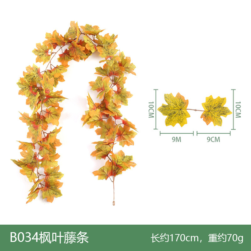 B034 Vigne d'érable