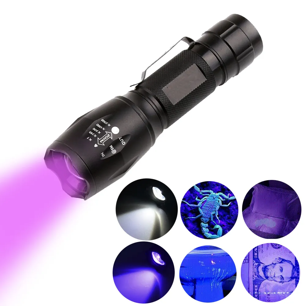 2 IN 1 Dual LED Zoom UV懐中電灯UVライトWhiteランプUltraviolet Blacklight 395nm Zoomable Scorpion検出器トーチ