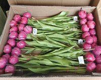 Coloré Villeroy Boch tulipe branche doux bouquet de fleurs artificielles décoratif maison fête mariage plante